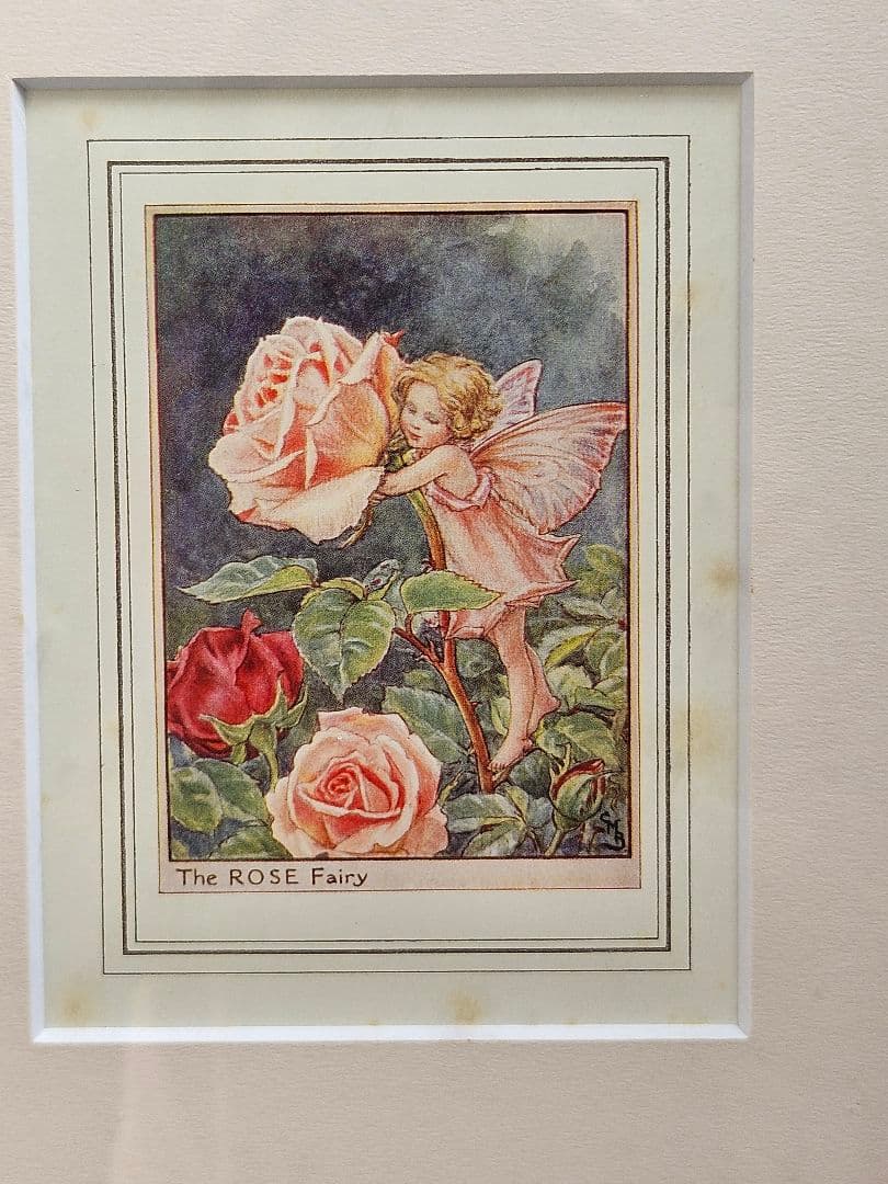 メアリー・シシリーバーカー 花の妖精　　薔薇の妖精