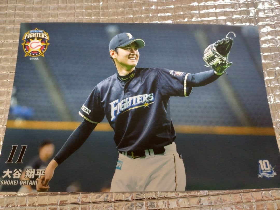 大谷翔平 2013 ハイライトフォト No.353 日本ハム 球団公式写真