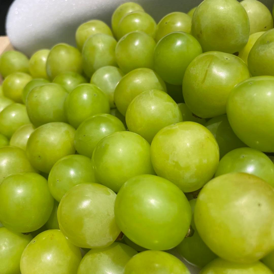 ak55 山梨県産　シャインマスカット　葡萄　グレープ　粒　箱込み5kg