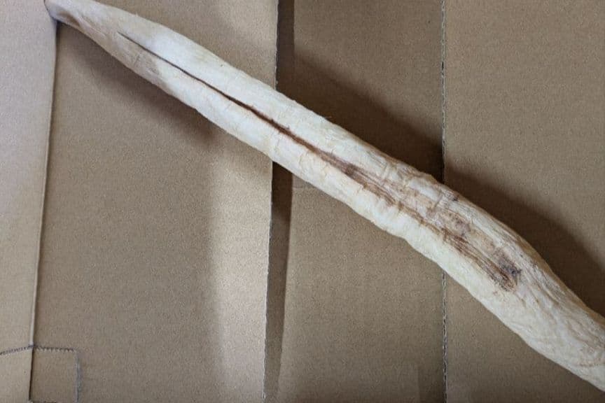 干し大根　細め小さめ　箱込み約20kg