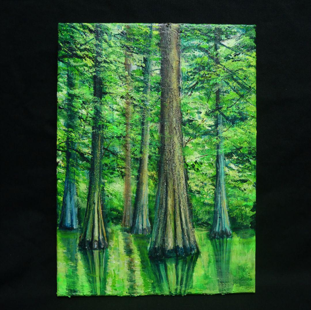 油絵 油彩 油彩画 絵 絵画 絵【水面に映るラクウショウの森﻿】