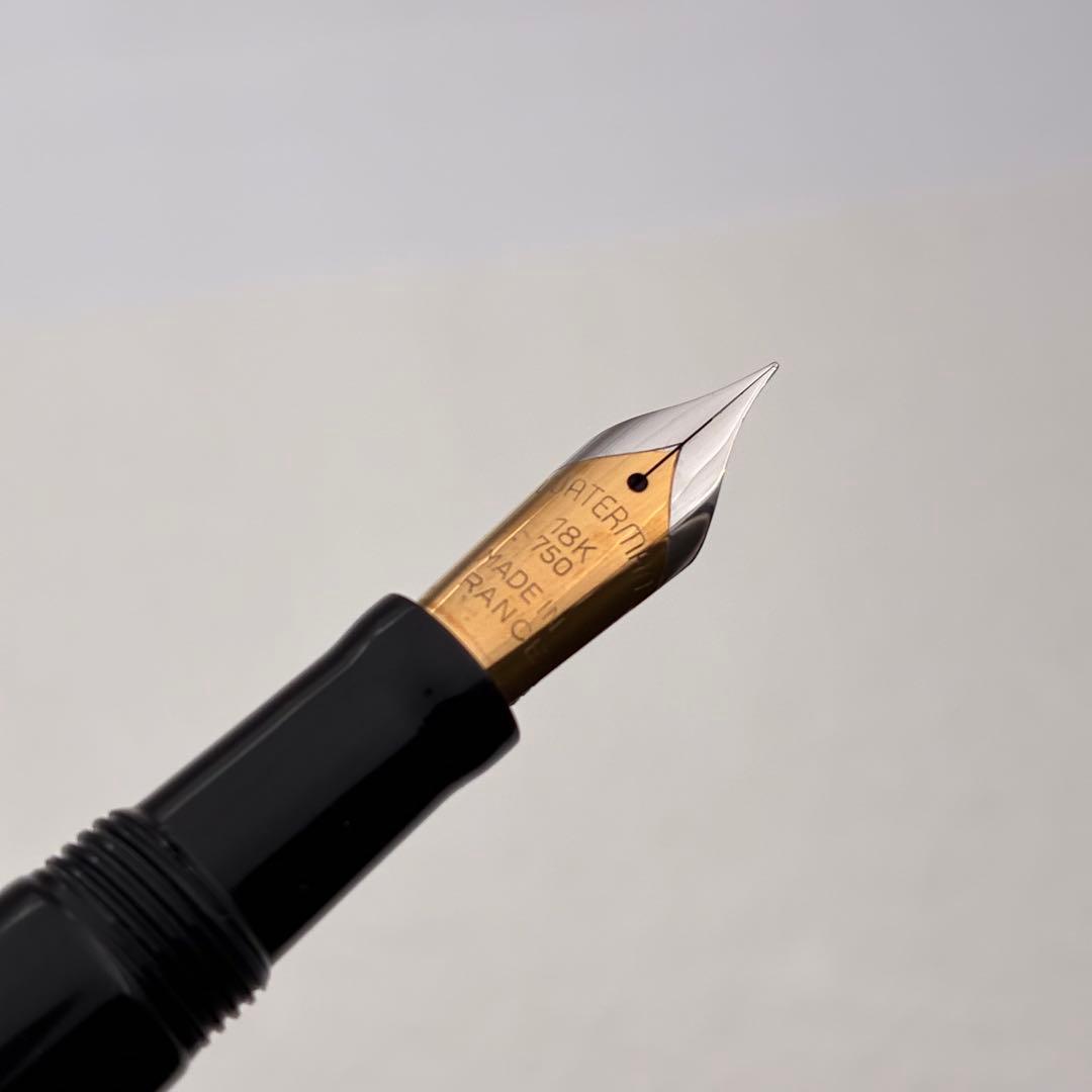 WATERMAN ウォーターマン 万年筆 ウォータミナ 銀製 オーバーレイ