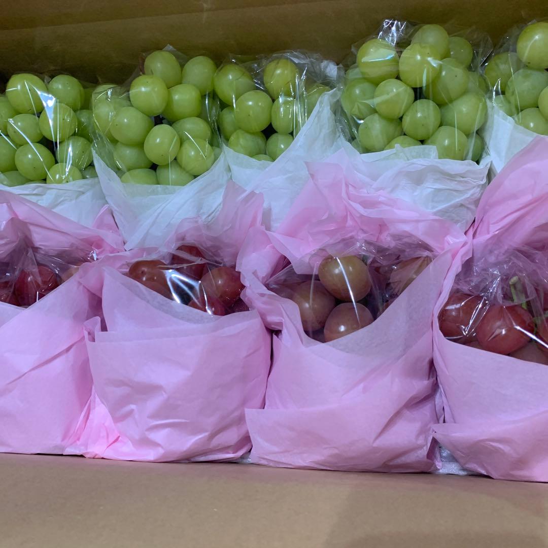 ⑥シャインマスカット＆クイーンルージュ®︎（4.5キロ）