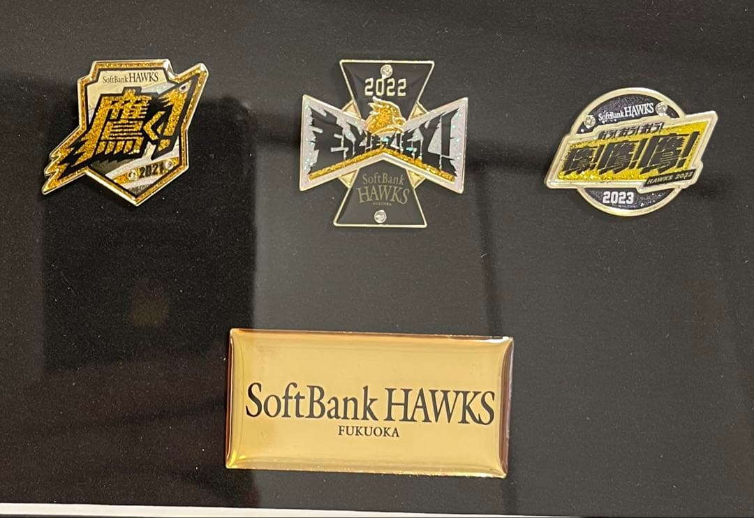 福岡ソフトバンクホークス シーズンシート 継続 ピンバッジ 10年分