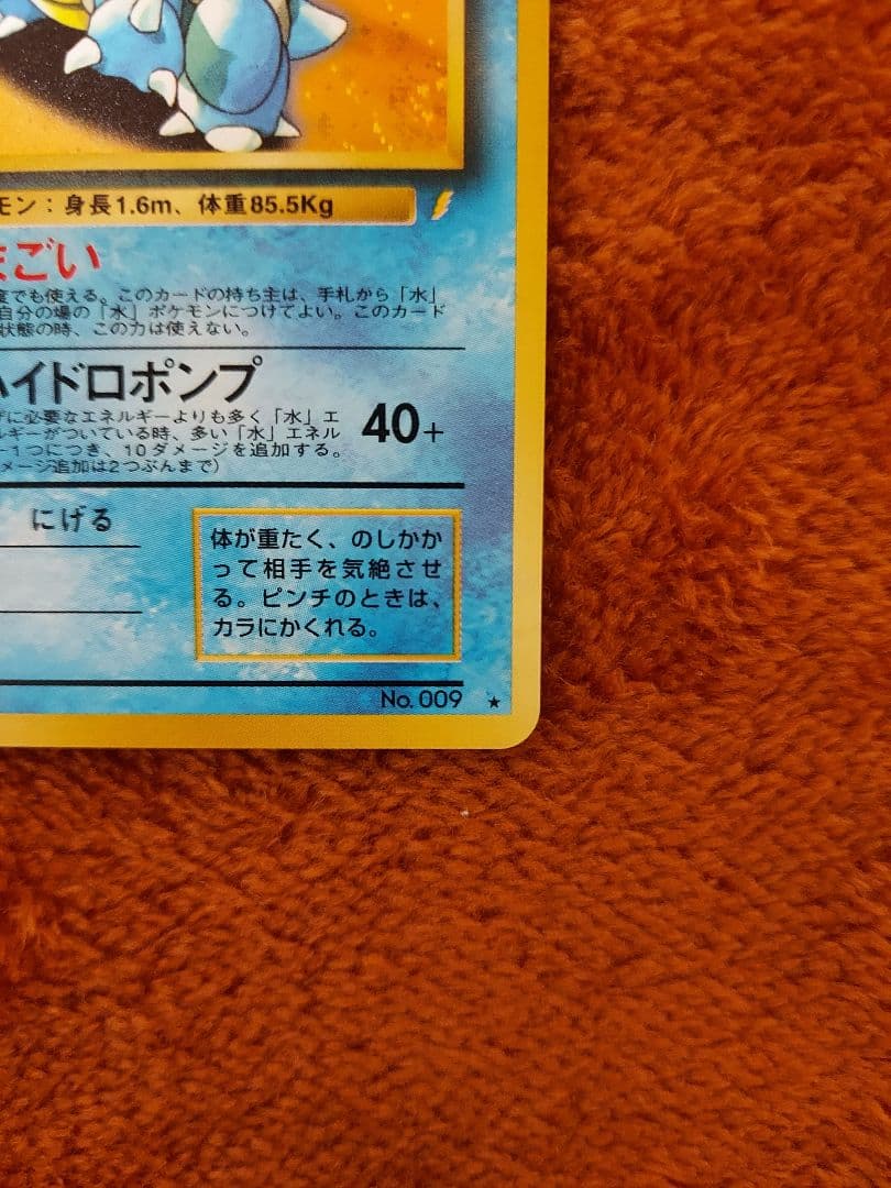 カメックス　旧裏