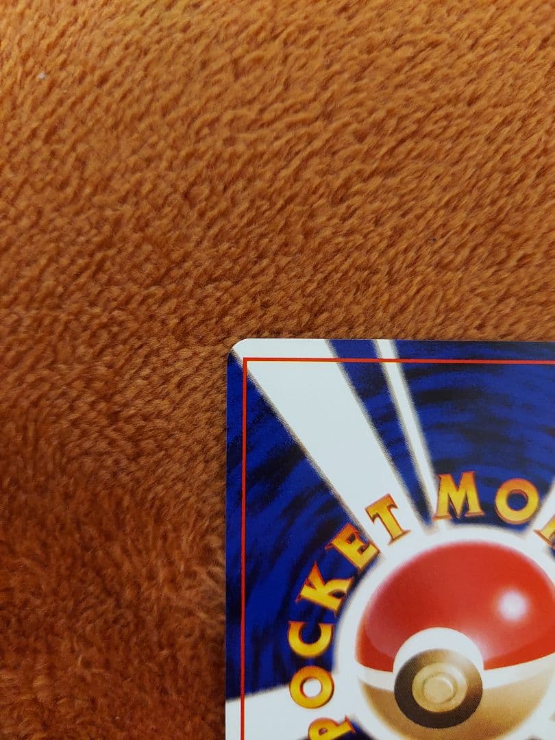 カメックス　旧裏