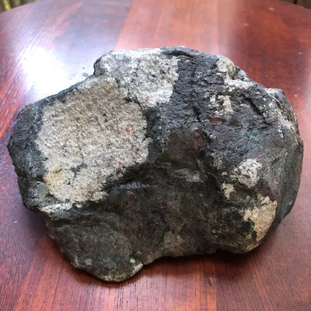 根尾谷産 菊花石｜鑑賞石・天然石｜一輪咲き・約836g