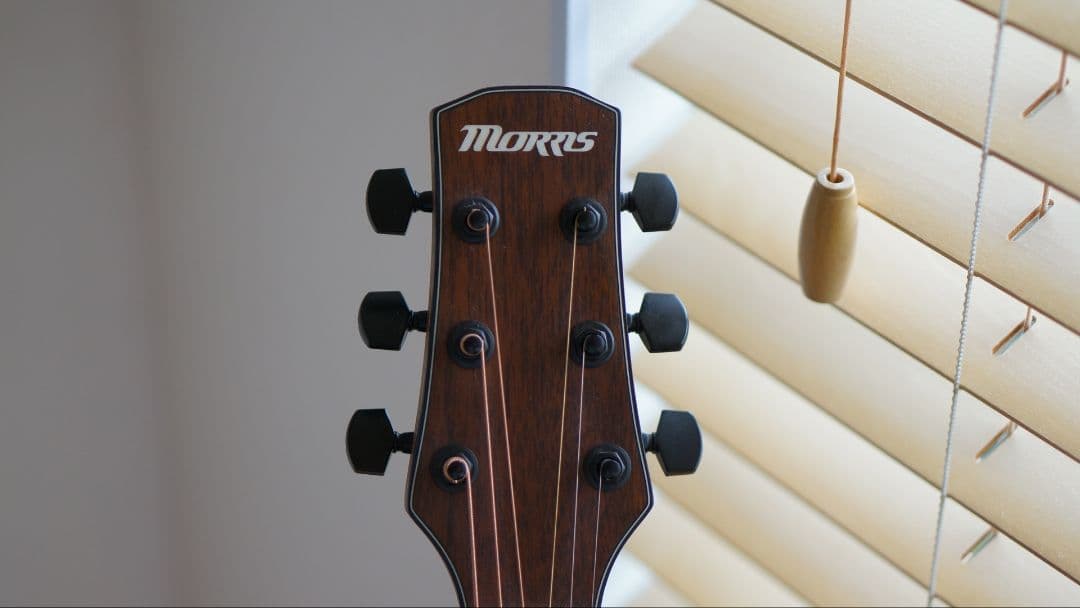 Morris F-021 VS モーリス アコギ ギター