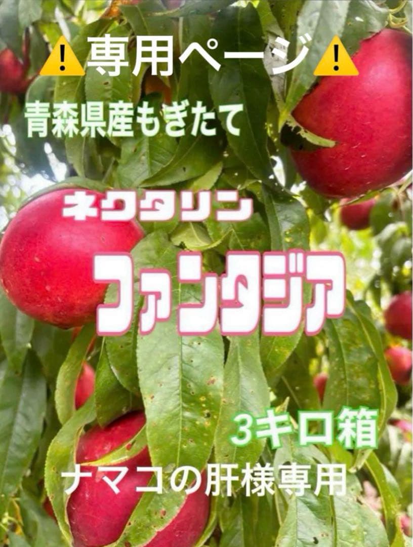 青森県産 ネクタリン【ファンタジア】ナマコの肝③