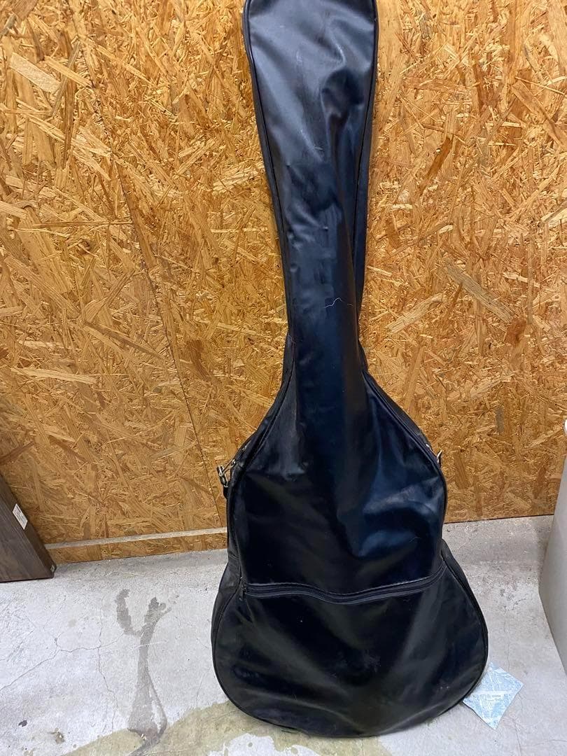 【ギター】ANBOY REA-35E グリーン