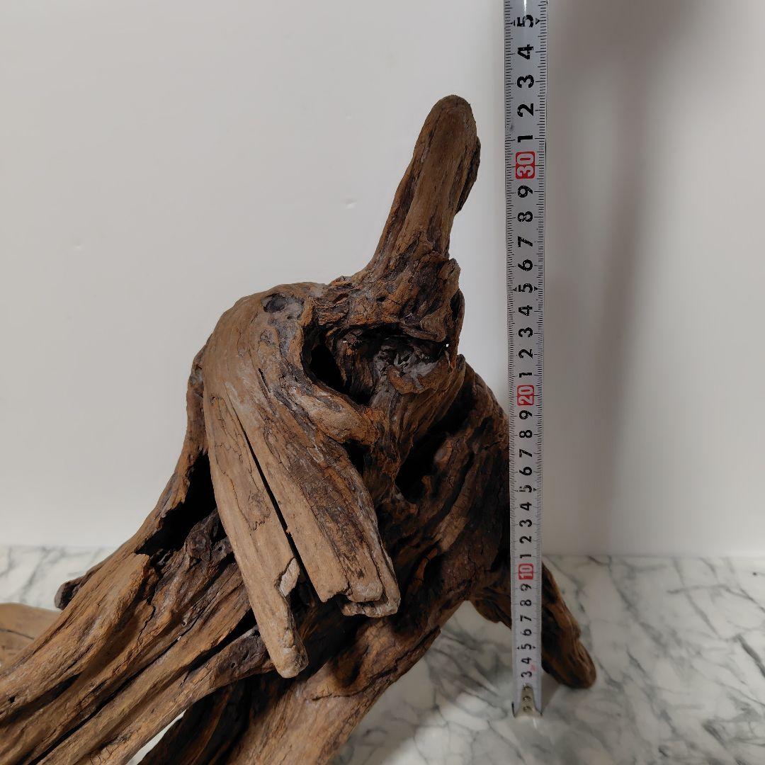 アク抜き済み流木【785】セール