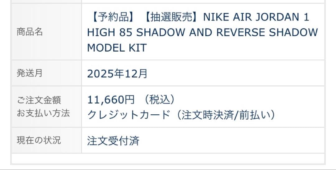 JORDAN １SHADOW AND REVERSE SHADOW KIT