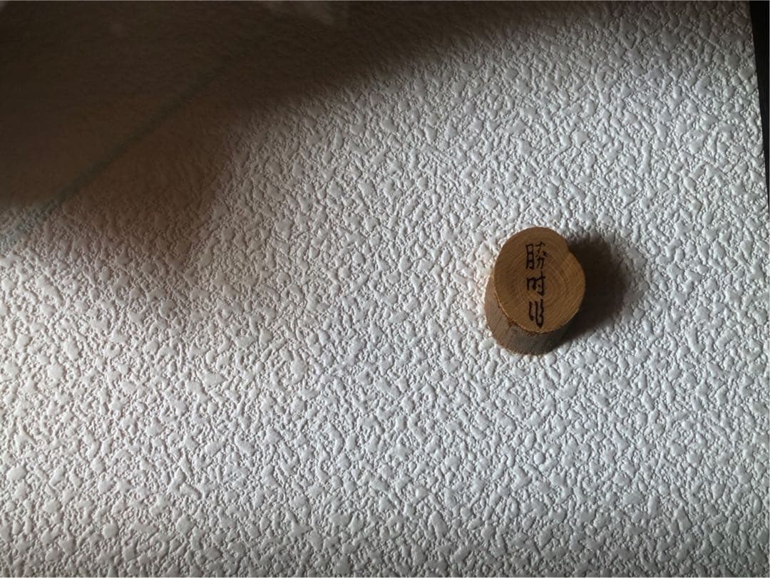 サクラマス 標本　剥製　フレーム入り