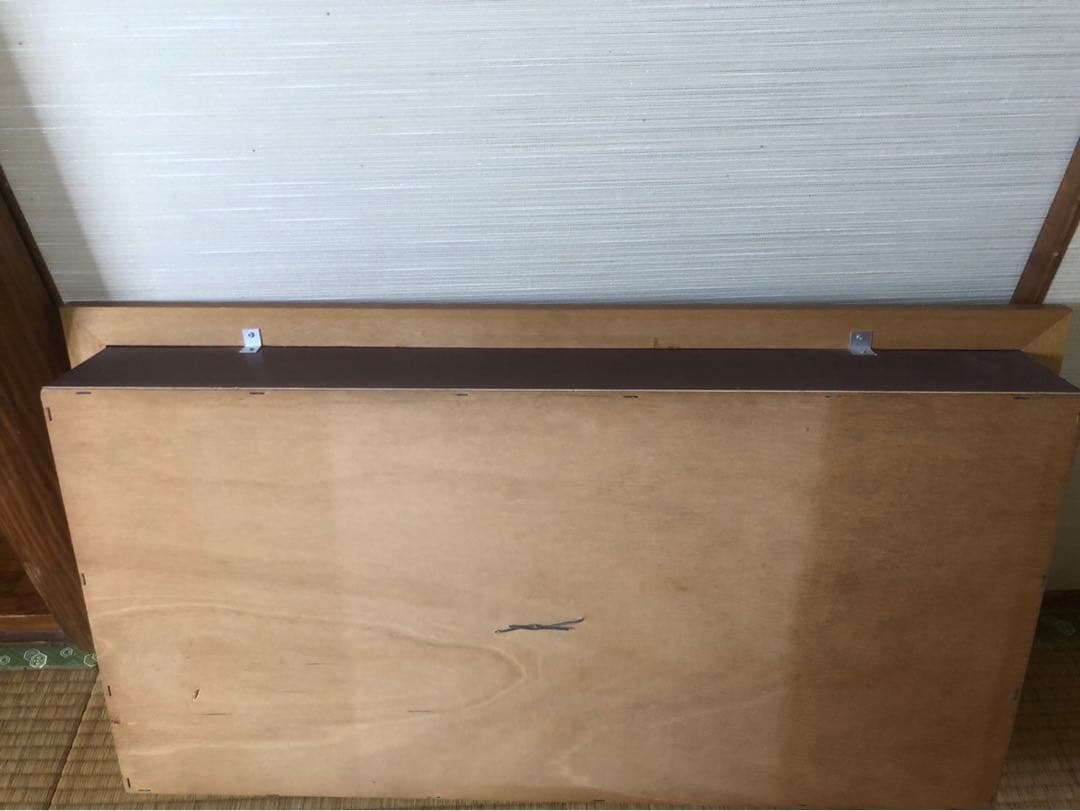 サクラマス 標本　剥製　フレーム入り