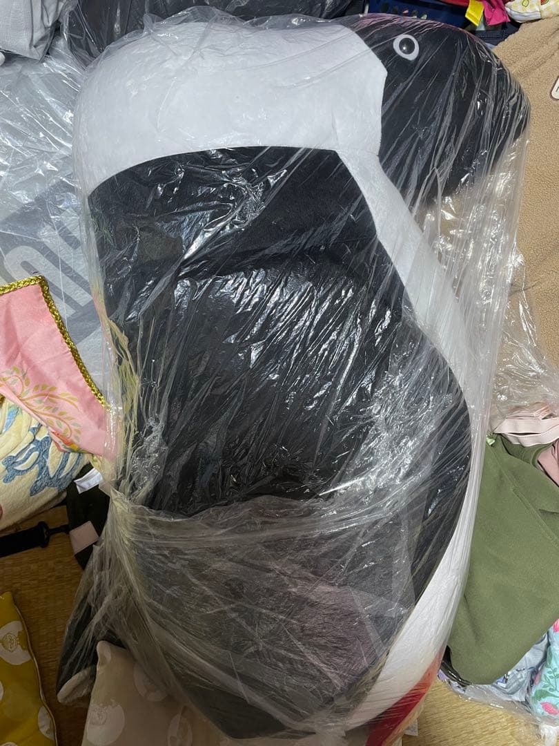 CHUMS ジャイアントぬいぐるみ ブービーバード