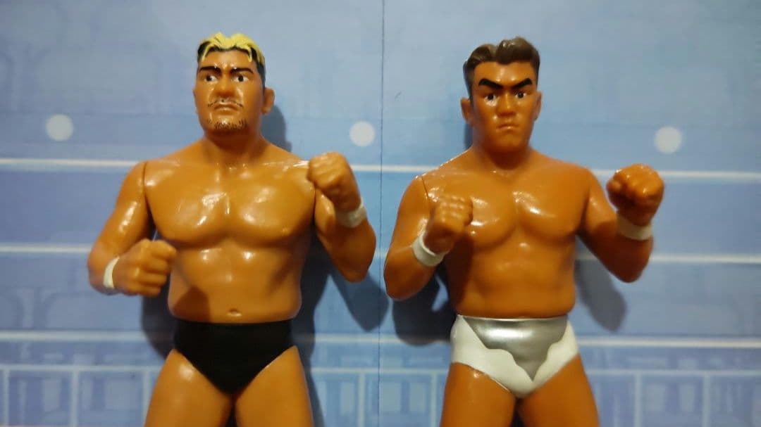 大森隆男　秋山準　プロレスフィギュアセット