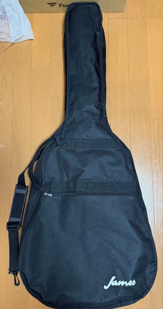 James JD400 アコースティックギター　ケース　クリップチューナー付き