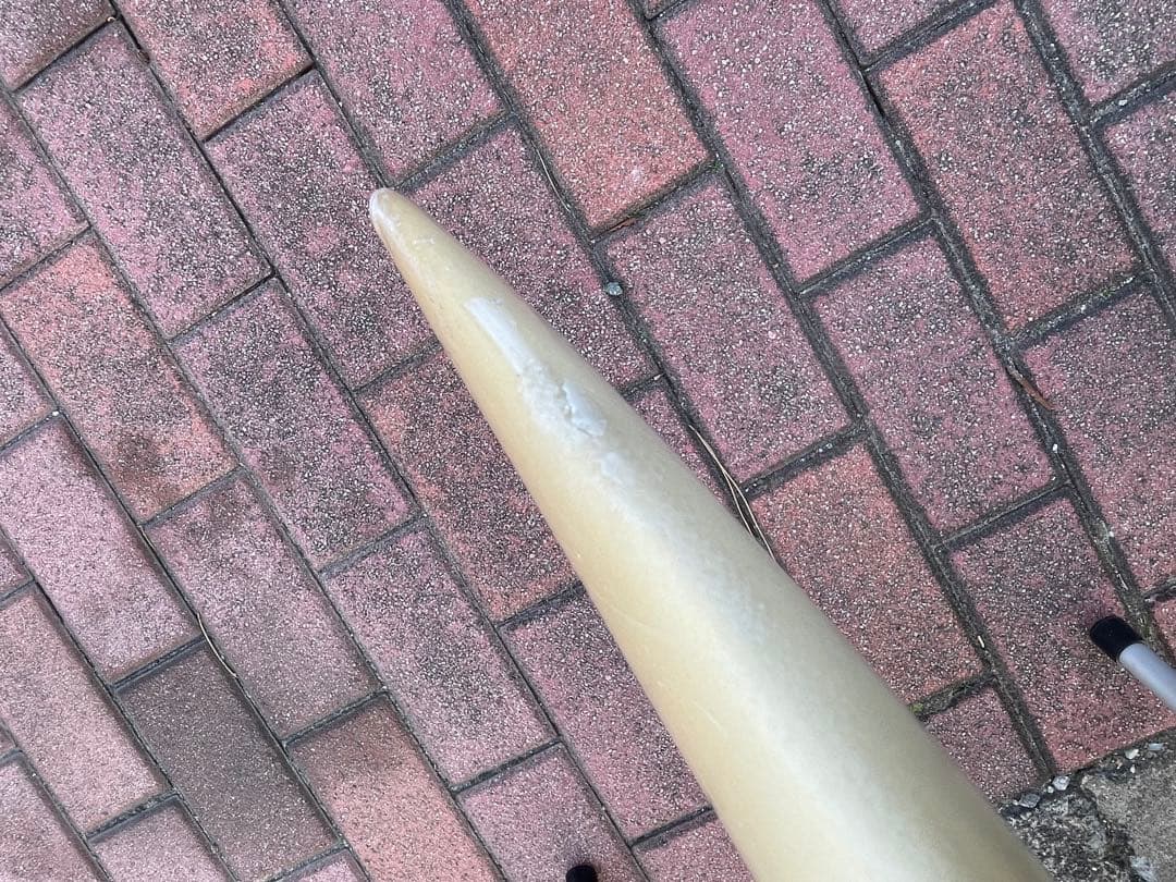 US産　クリステンソン　シーバケット　ミッドレングス