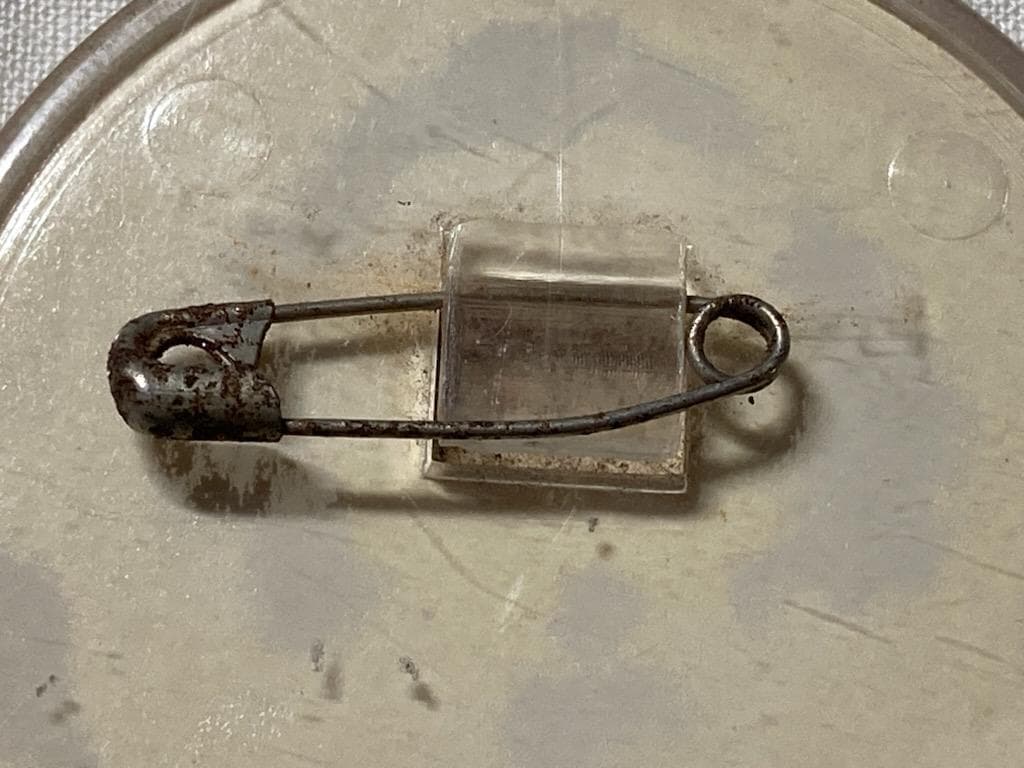 【希少！ヴィンテージ】キャンディキャンディ プラスチック製バッジ いがらしゆみこ