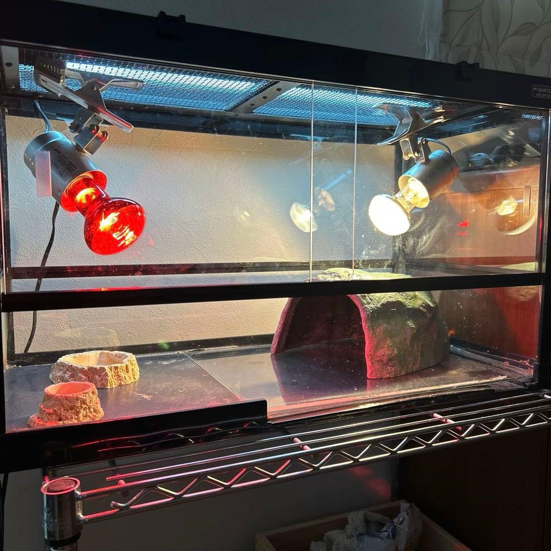 【リクガメ】【トカゲ】爬虫類飼育ケージセット