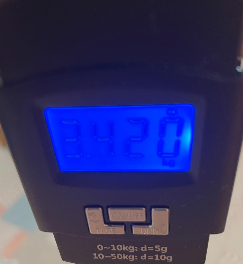 1984年 Squire / Fender Japan Telecaster