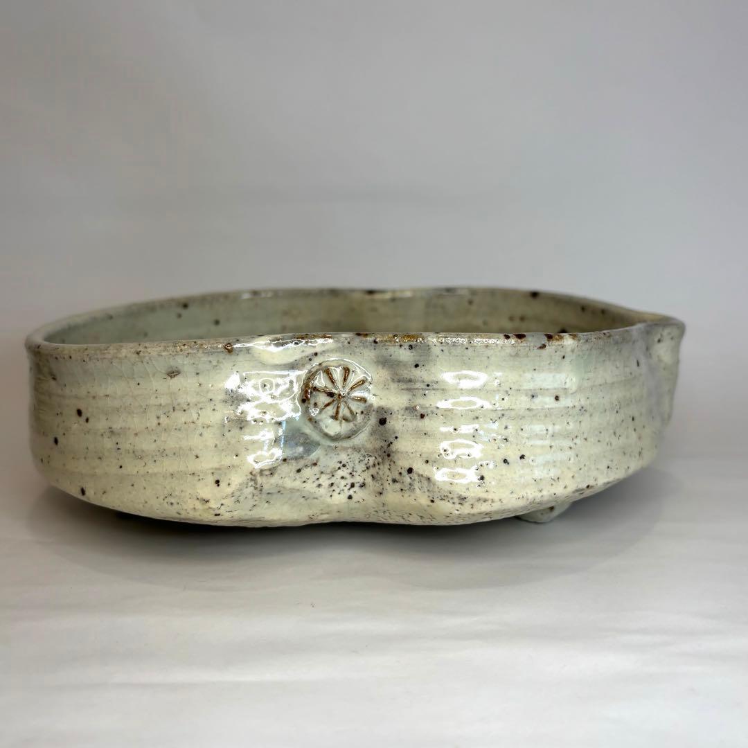 永江港史さん　絵志野焼　鹿　梅　鉢　小皿5枚セット