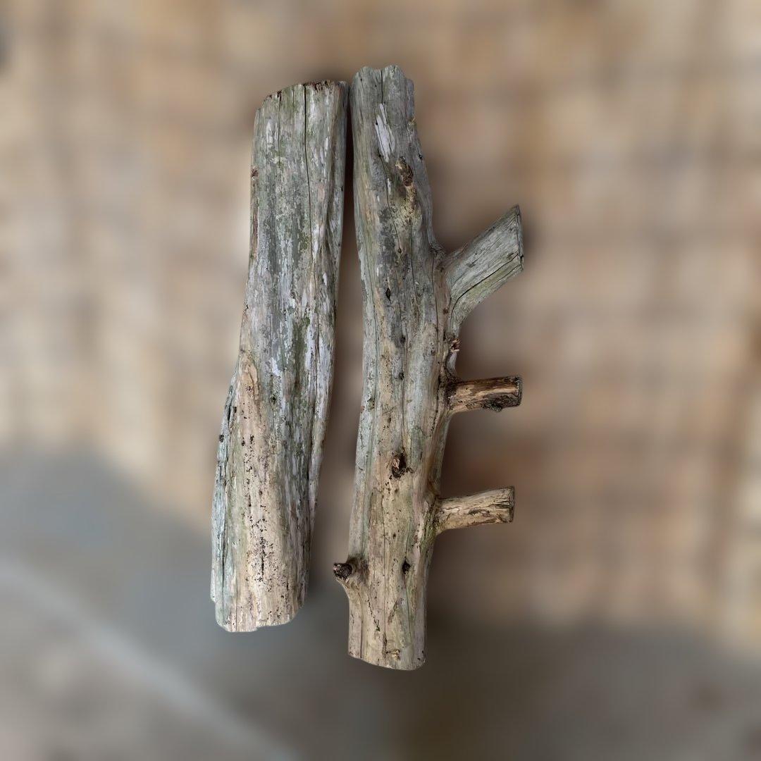 貝塚伊吹木製昆虫止まり木 約65cm