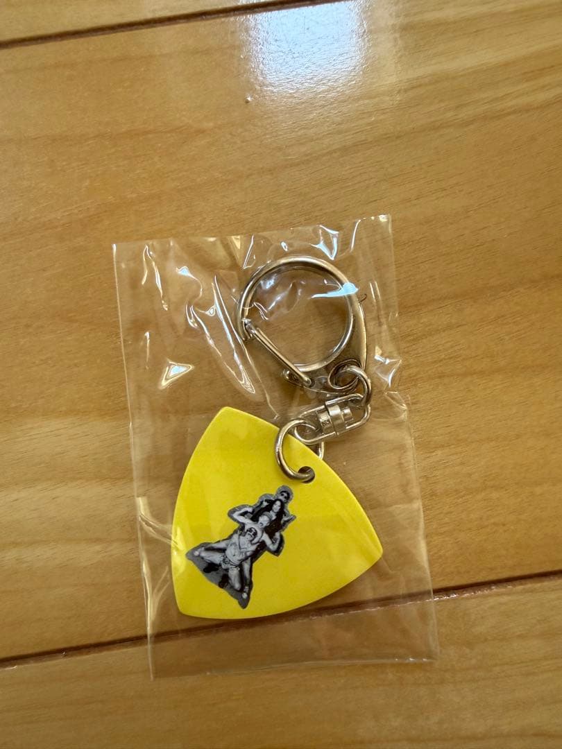 【フル5点】Red Hot Chili Peppers 2023 VIPグッズ