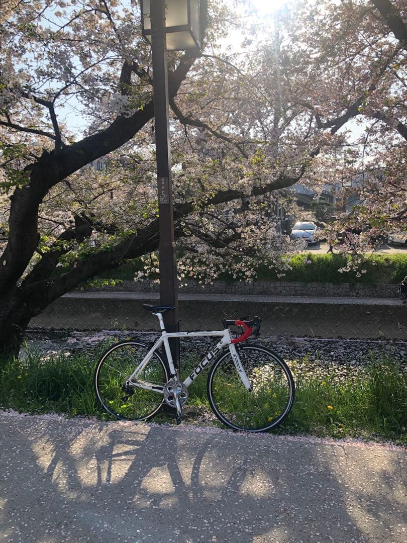 FOCUS CAYOロードバイク