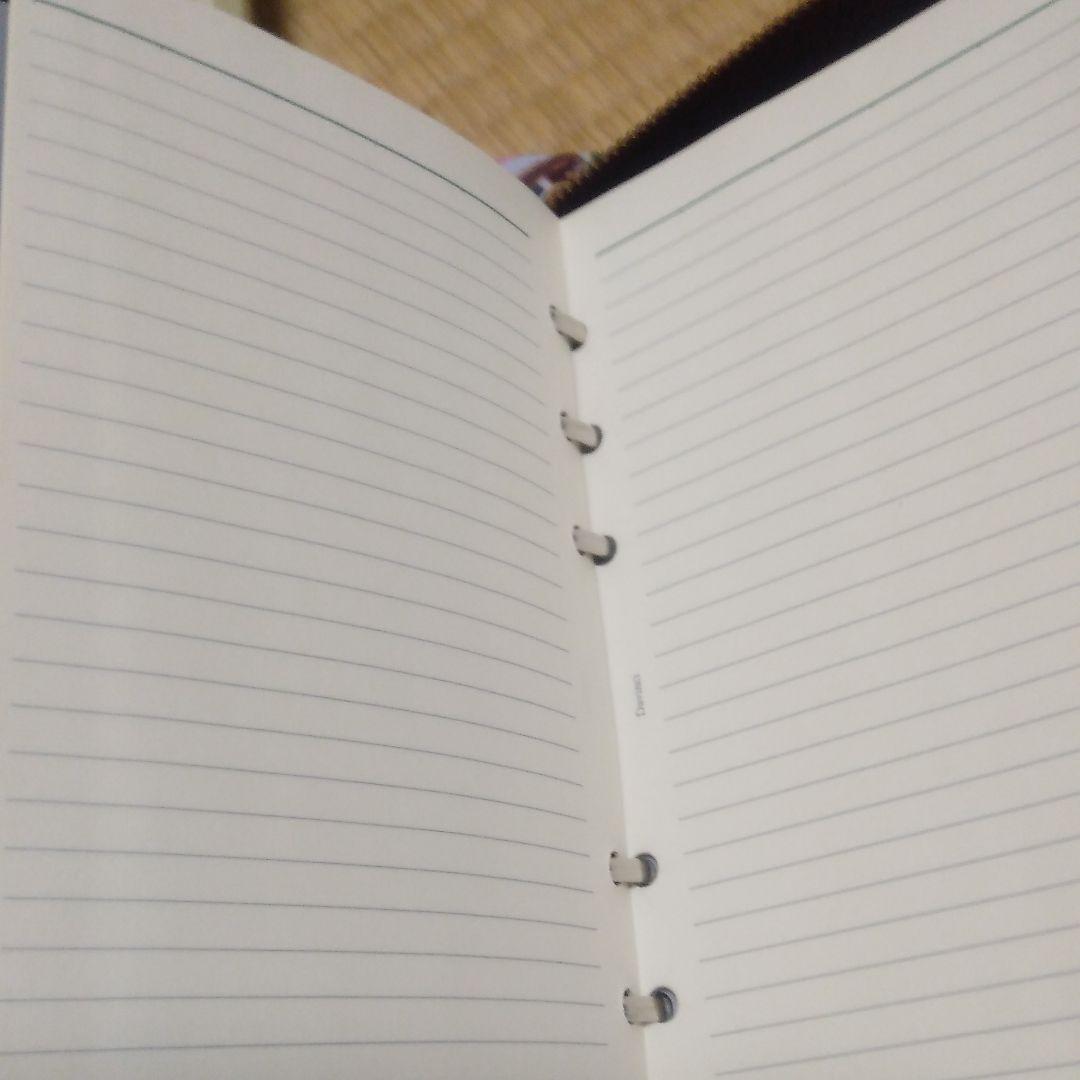 再値下げしました！システムバインダー　ダヴィンチ　中身つき