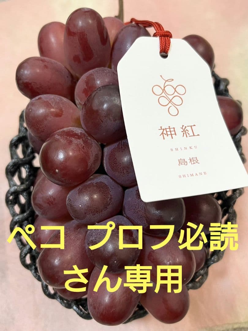 ペコ プロフ必読さん専用