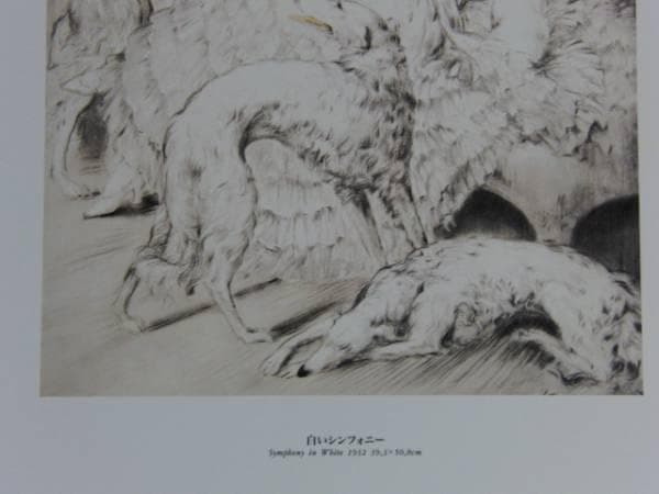 ルイ・イカール、白いシンフォニー、豪華限定版・定価１０万３千円、新品額付