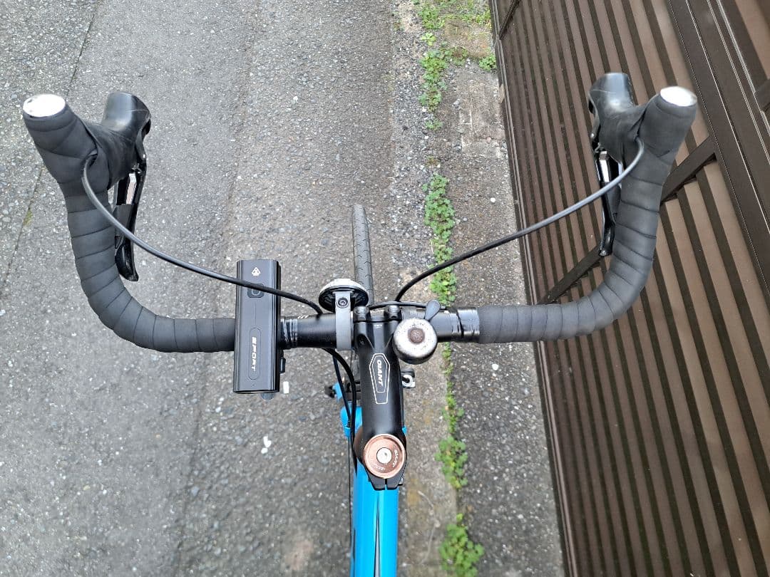 giant contend1 2019 ブルー