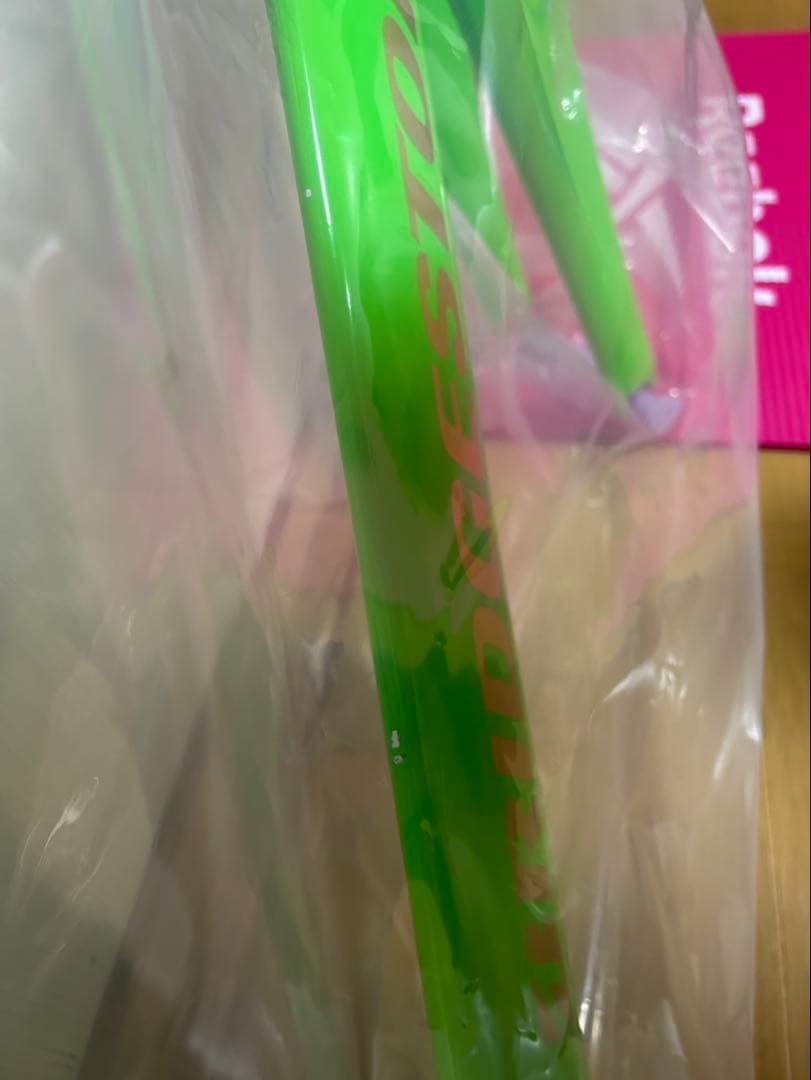 BRIDGESTONE 自転車フレーム TR9