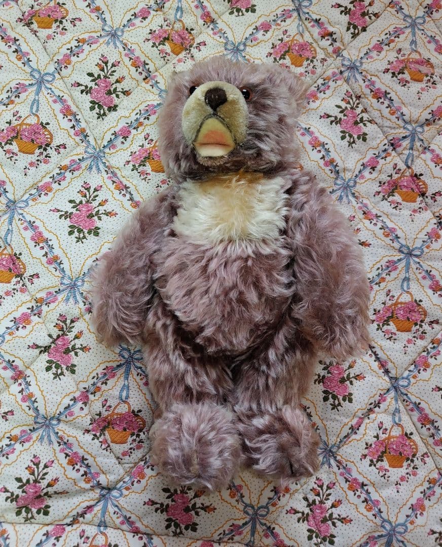 シュタイフ　小豆色のゾッティ