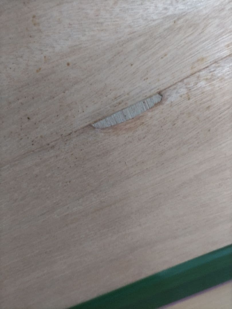 油彩画 運河の風景 金色フレーム　新品未使用