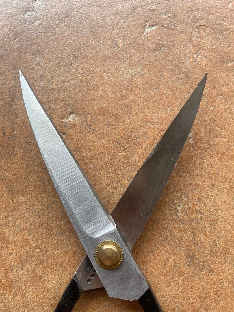 ほぼ新品　本家　本種子鋏