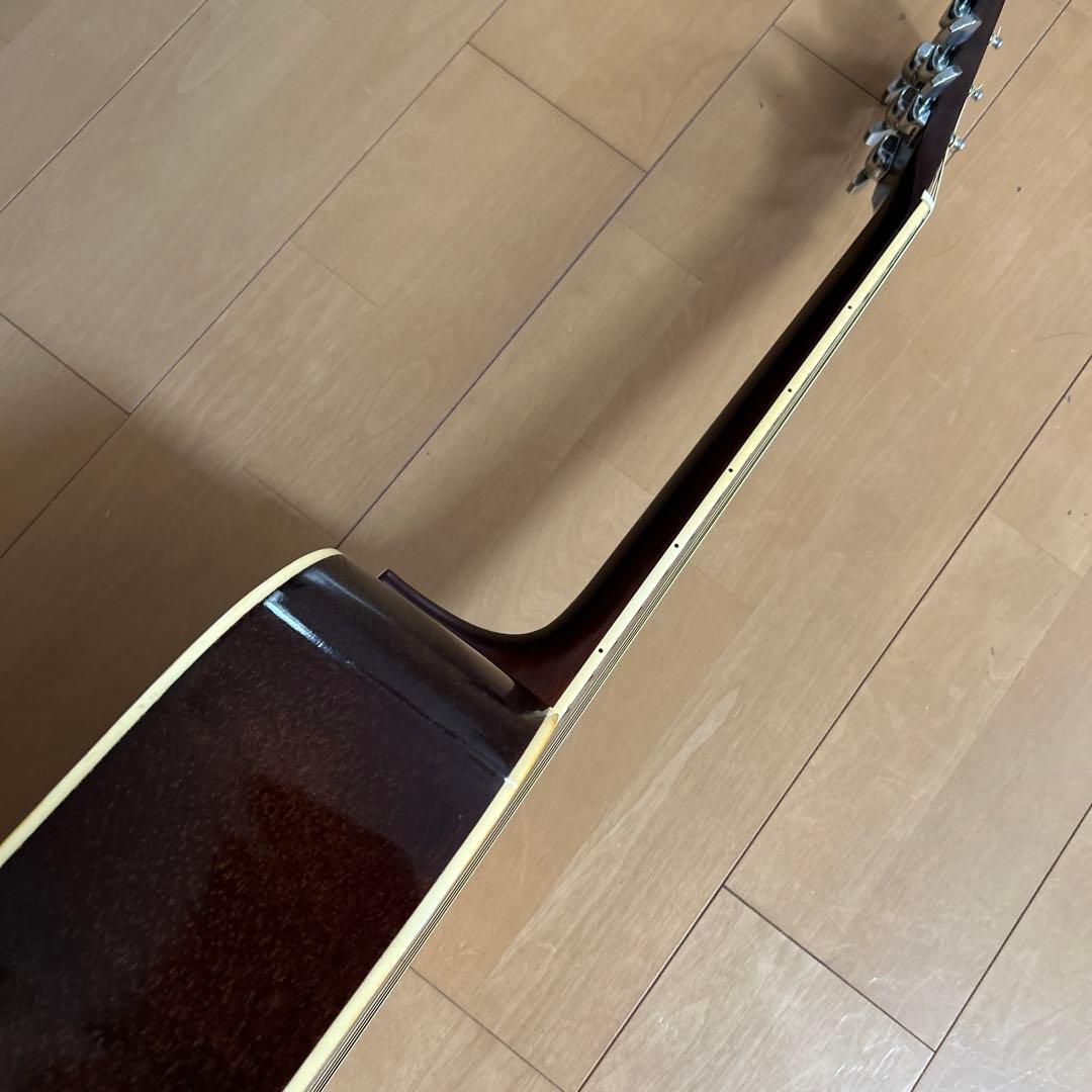 ぴょんたんCat's Eyas CE-200 東海楽器工房