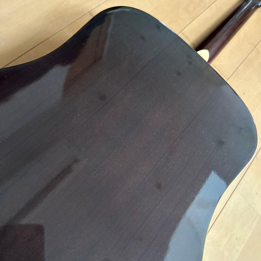 ぴょんたんCat's Eyas CE-200 東海楽器工房