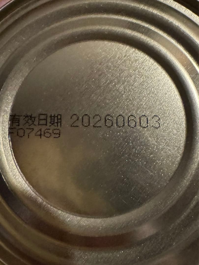 豚肉でんぶ　新東陽　豚肉そぼろ　猪肉酥　バーソー　250g×3缶