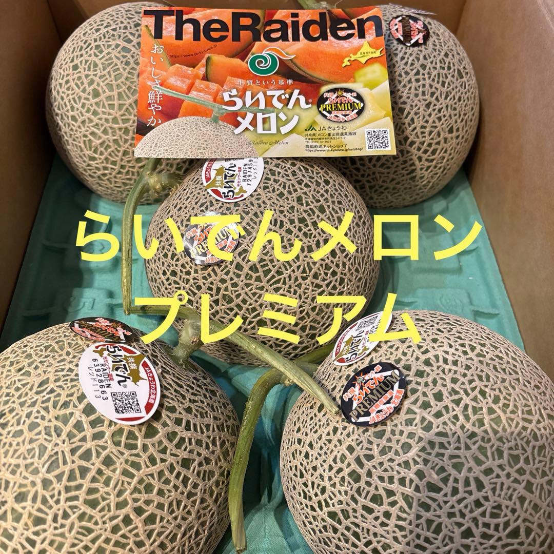 最終!!!! 北海道らいでんメロン 赤肉 「品種:レッド113」秀品 5玉8キロ