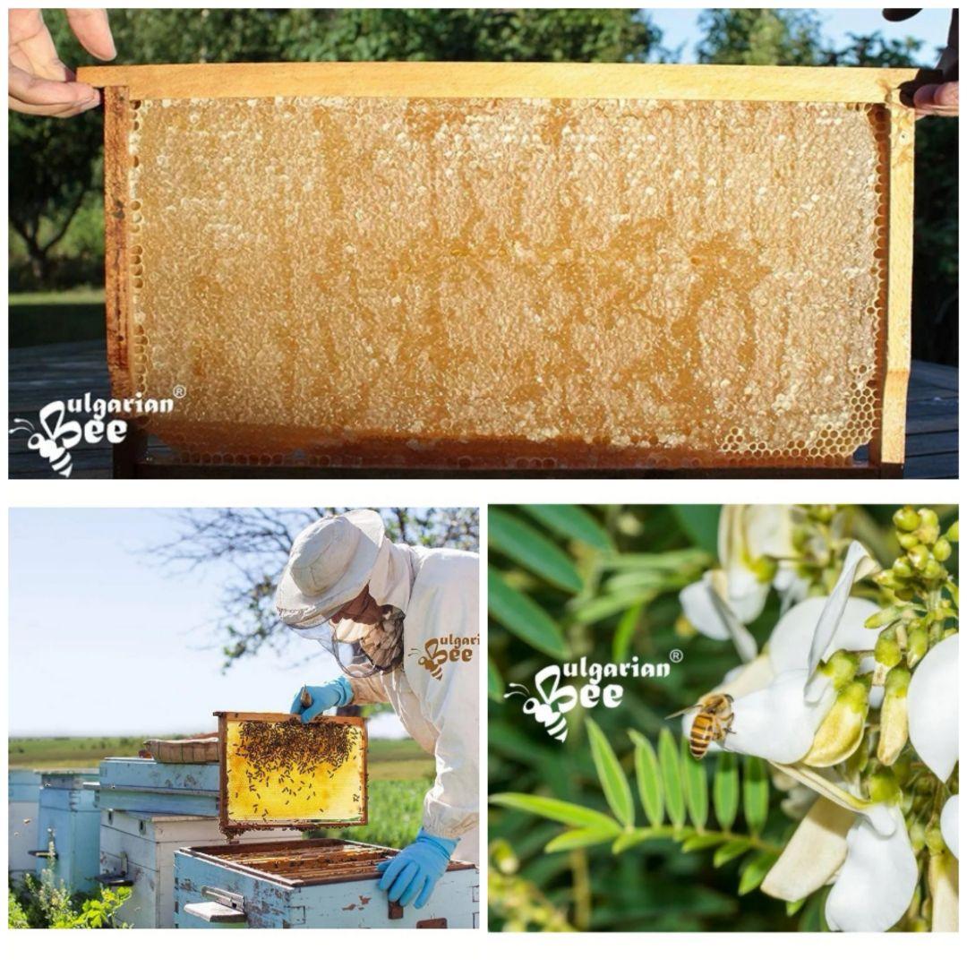 1.350kgオーガニック 生蜂蜜 アカシア2個とラベンダー １個蜂蜜ブルガリア