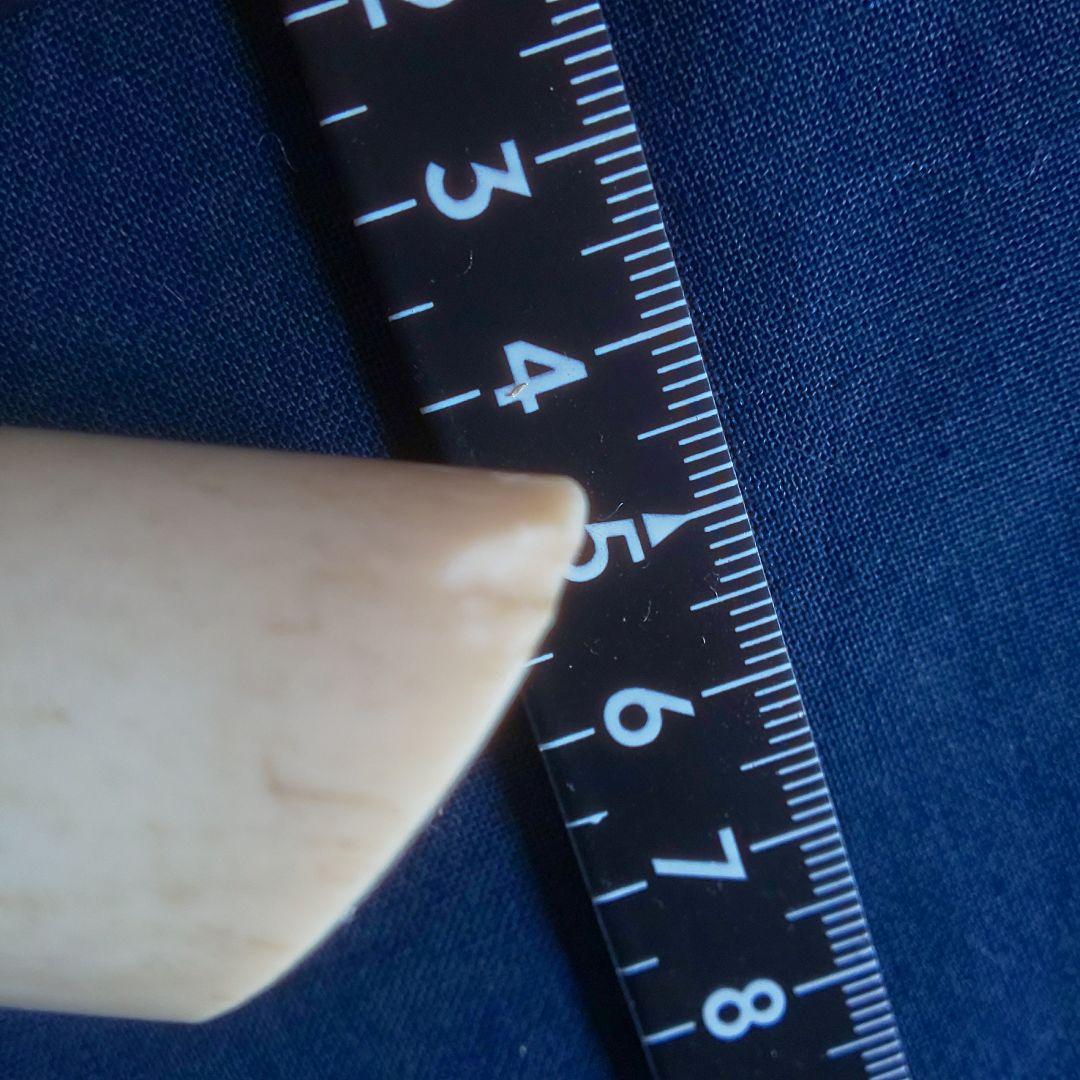 二弦琴 爪 牙 和楽器 大正琴