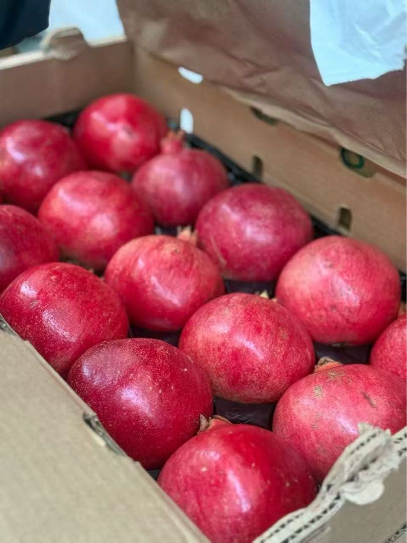 新鮮ザクロ　1箱 約5kg