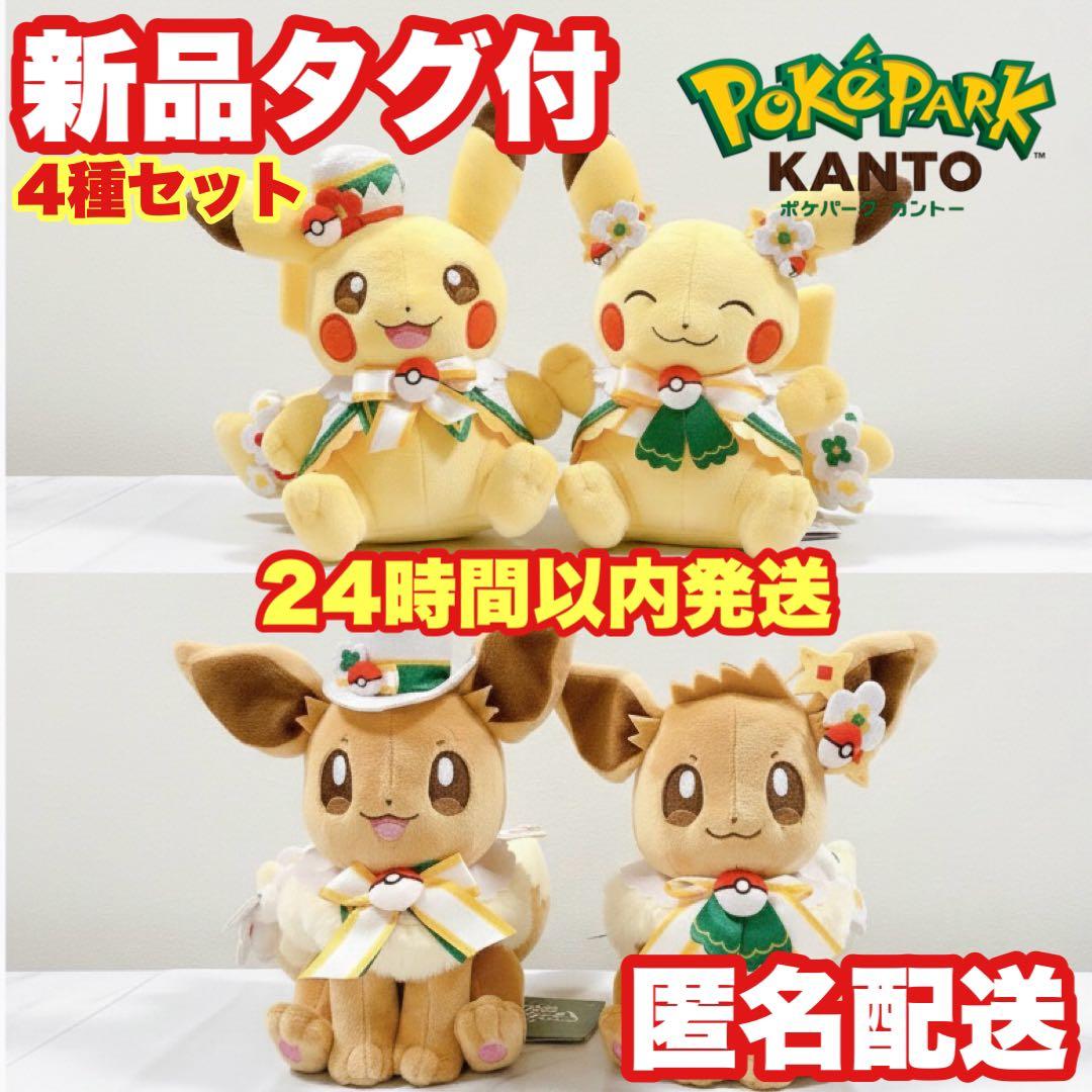 【4種セット】ポケパークカントー ぬいぐるみ ピカチュウ イーブイ