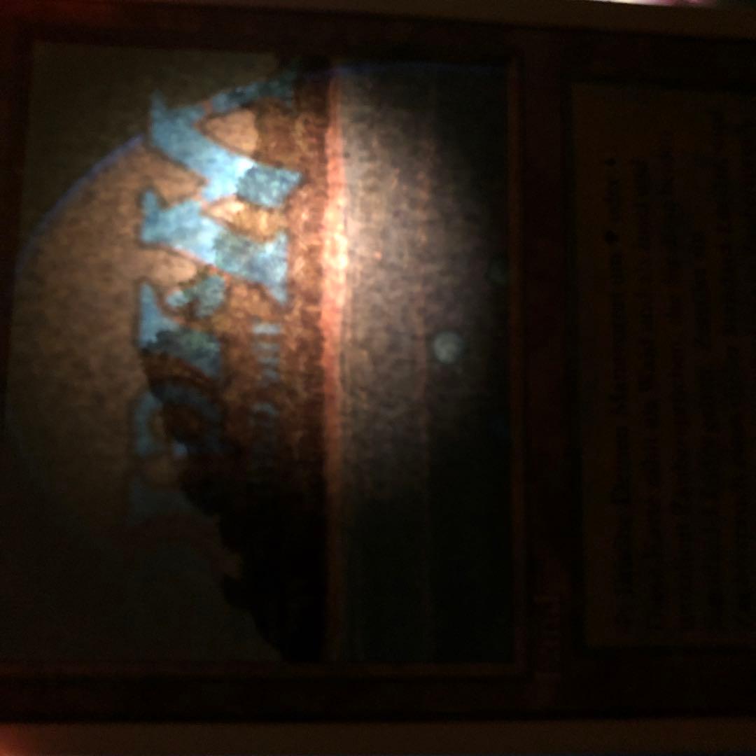 【顕微鏡による拡大写真有り】MTG ドイツ語 Tropical 