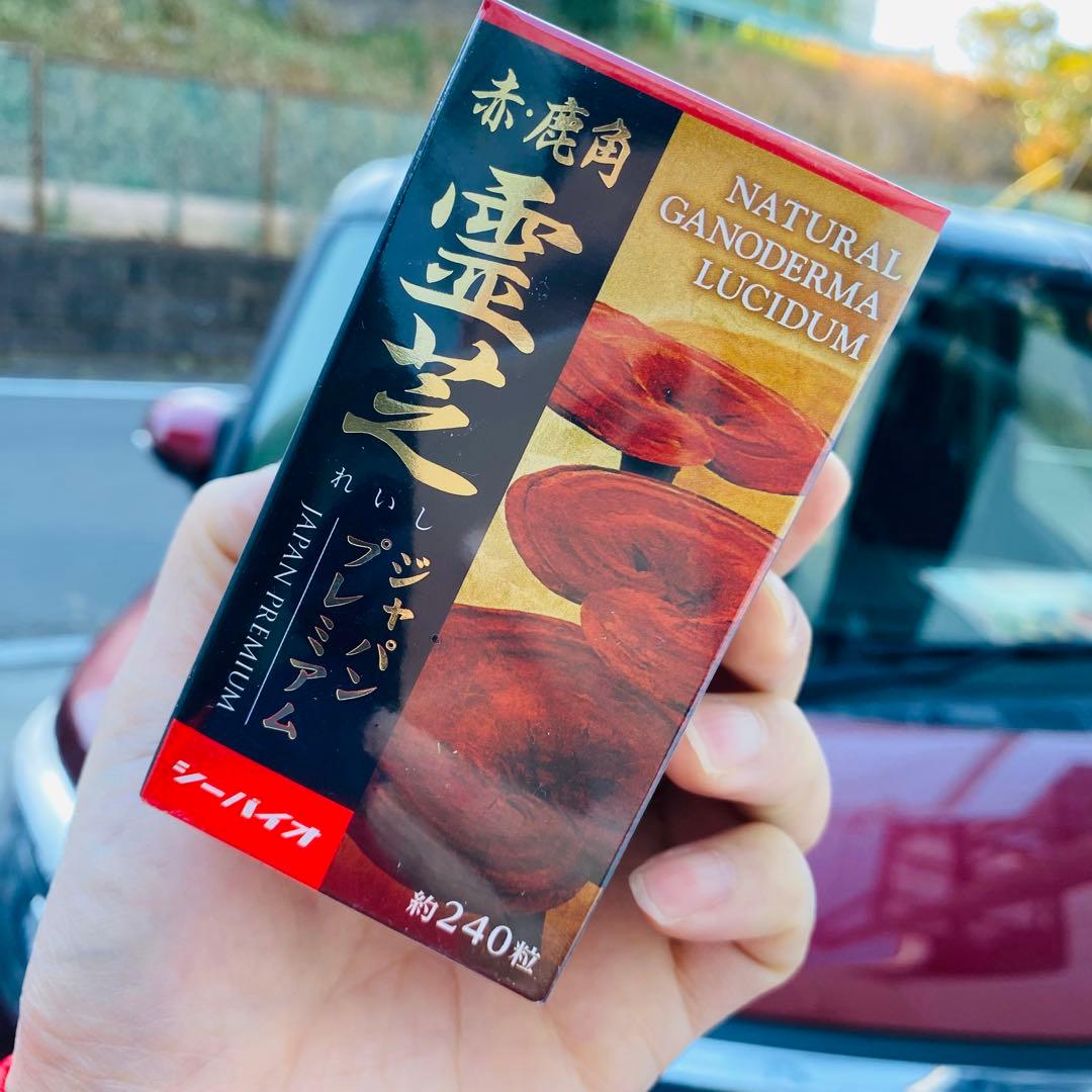 霊芝 Reishi Natural 5個 賞味期限2026年２月