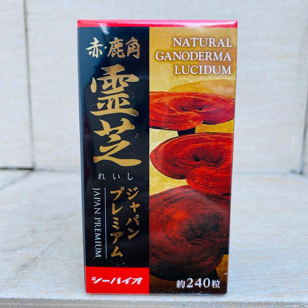 霊芝 Reishi Natural 5個 賞味期限2026年２月