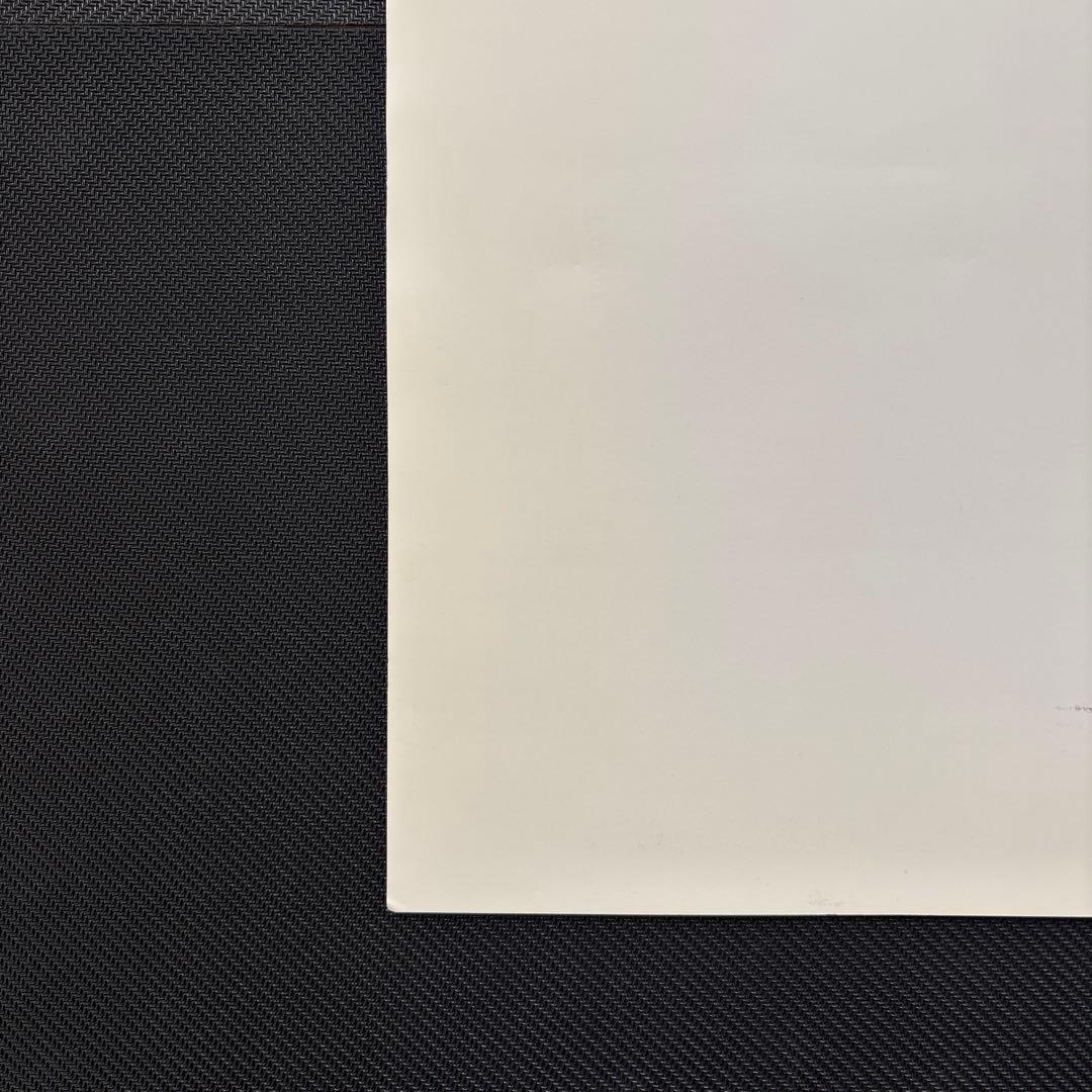 ✨️入手困難✨️ 鳥山明の世界 ドラゴンボール 複製原画 A 孫悟飯