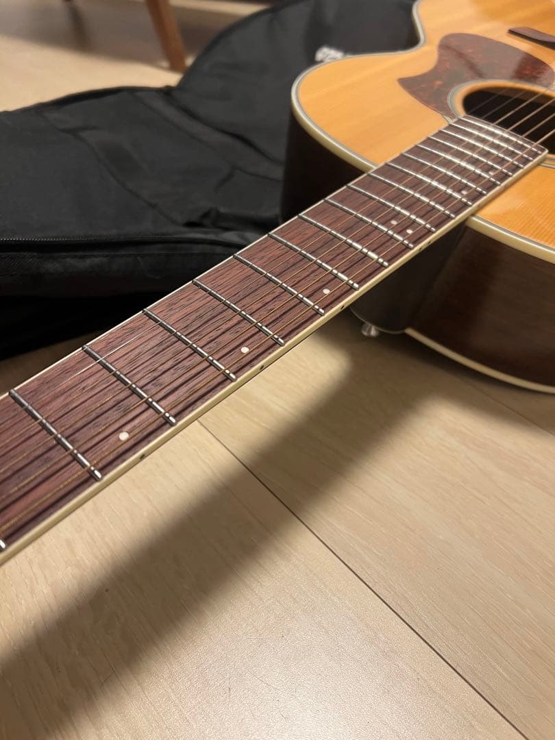 【新品・未使用10点セット】プレゼントにぜひ！高品質アコースティックギター